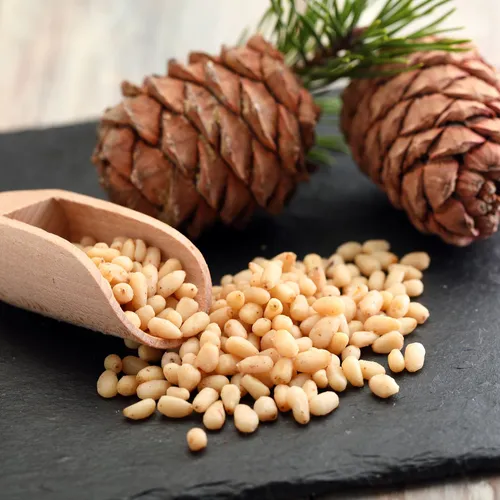 PINE NUTS